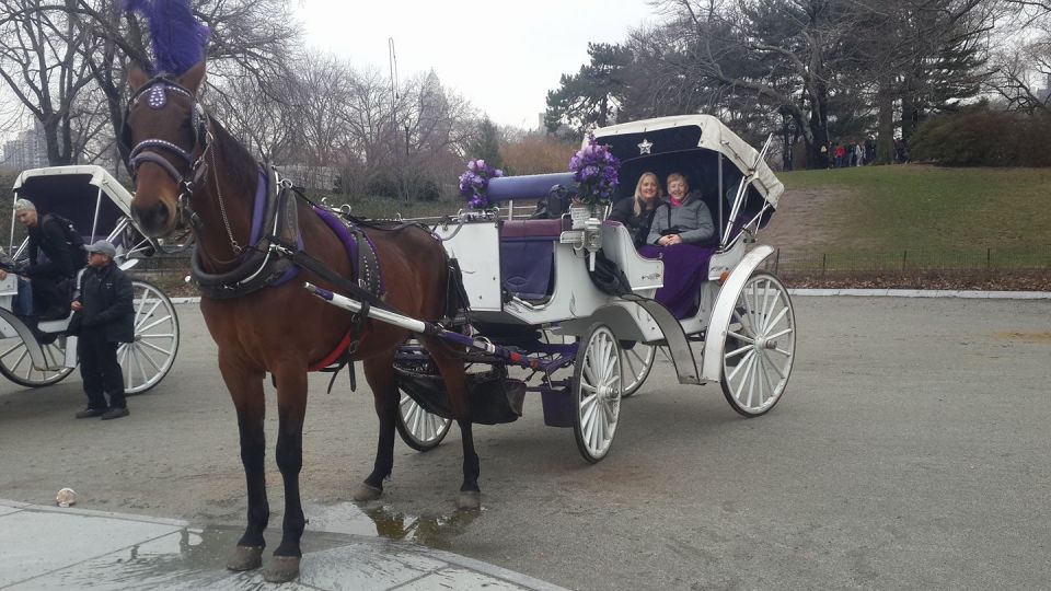 New York: Carriage Ride in Central Park - Escape Busy Manhattan