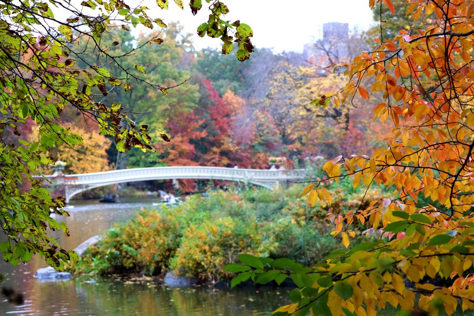 New York City: Pedicab Tour Through Central Park - Booking and Reservation