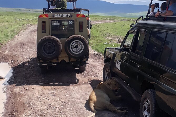 Ngorongoro Crater Day Trip - Pricing and Booking Information