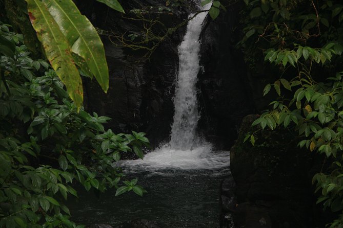 North Caribbean Tour in Martinique - Accessibility and Group Size