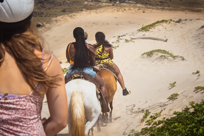 North Coast and Countryside Horseback Riding Tour in Aruba - Group Size and Pricing