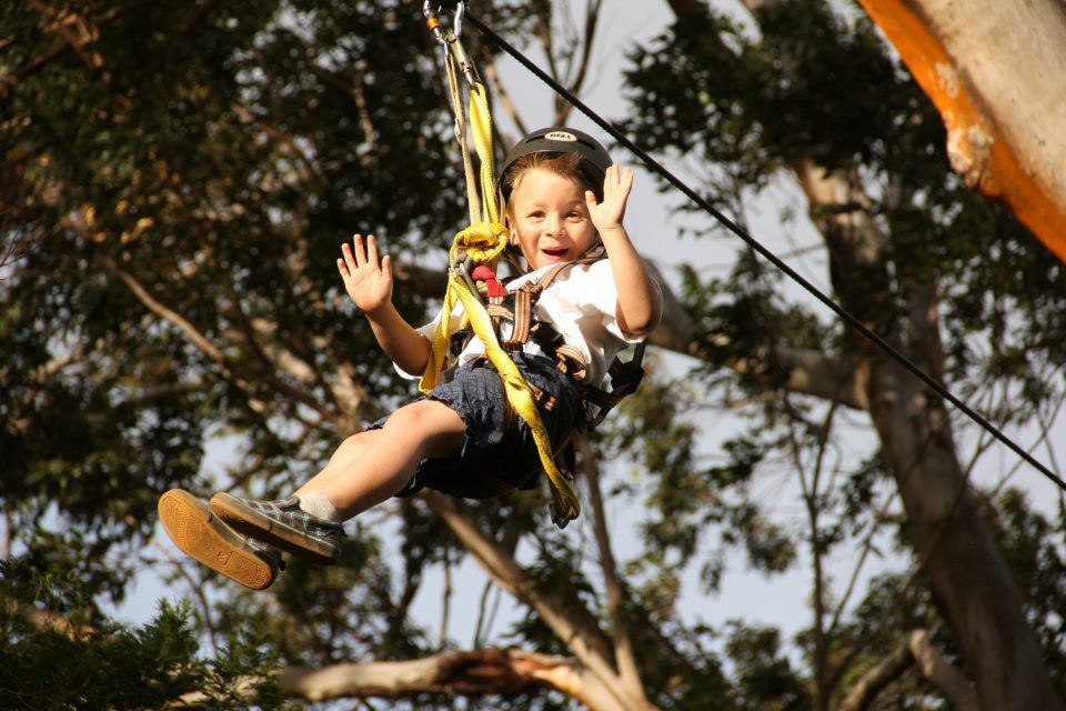 North Maui: 7 Line Zipline Adventure With Ocean Views - Meeting Point and Directions