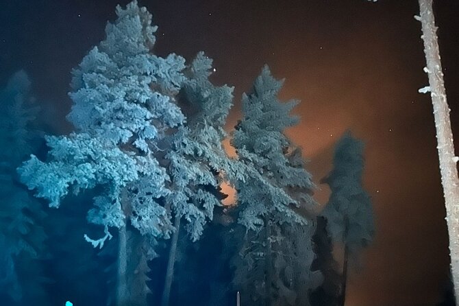 Northern Lights Dinner in a Glass Igloo - Guest Reviews and Recognition