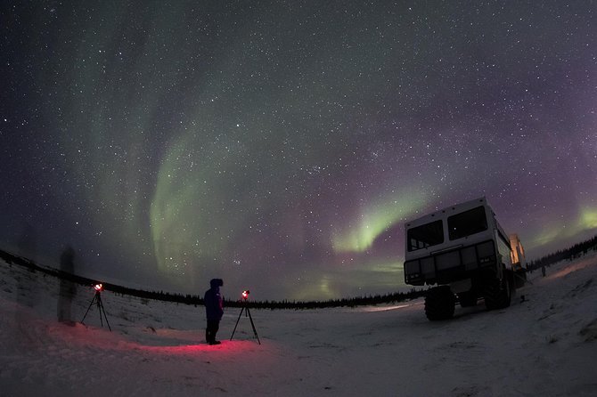 Northern Lights Winter Nights Adventure - Dining Experiences