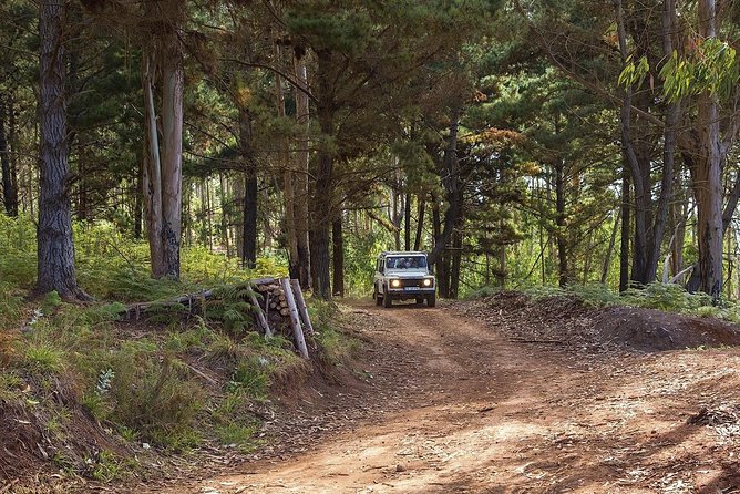 Nuns Valley & Sea Cliff - Half Day Jeep Tours - Group Size and Language