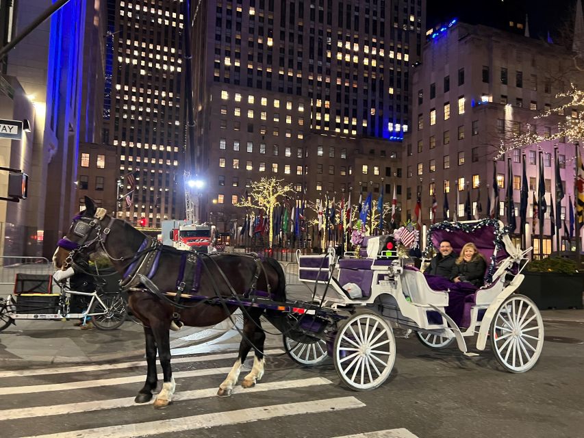 NYC: Guided Central Park Horse Carriage Ride - Optional City Ride