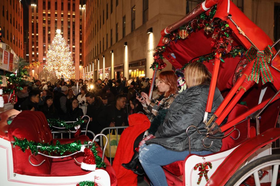 NYC: Magical Christmas Lights Carriage Ride (Up to 4 Adults) - Duration and Pricing