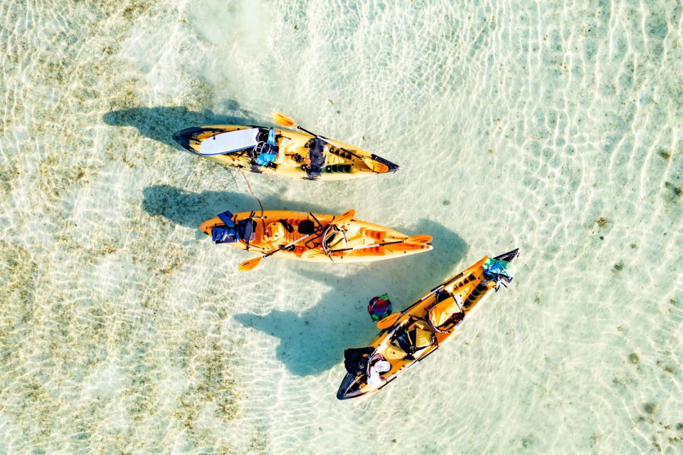 Oahu: Kaneohe Self-Guided Sandbar Kayaking Experience - Kayak Transport and Gear