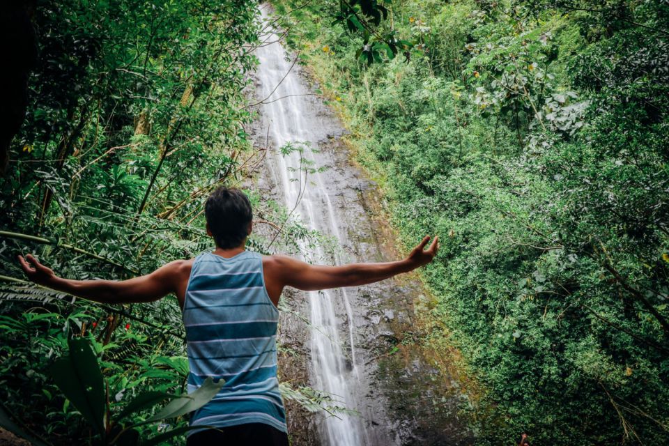 Oahu: Manoa Falls Waterfall Hike With Lunch and Transfers - Preparing for the Hike