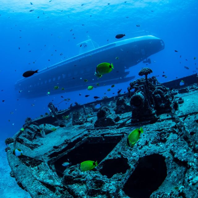 Oahu: Waikiki Submarine Tour - Important Information