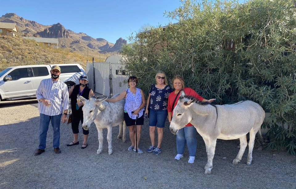 Oatman Mining Village: Burros/Route 66 Scenic Mountain Tour - Experiencing Oatman and the Burros