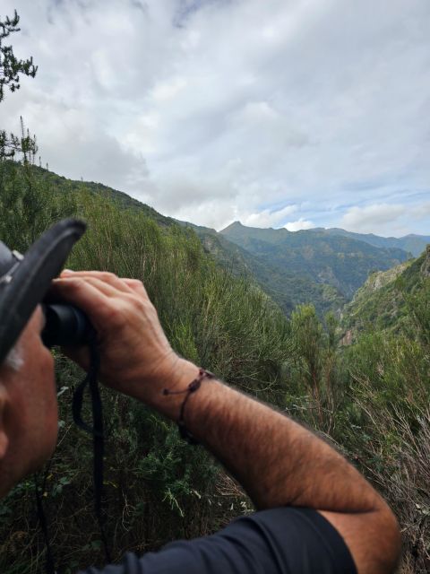 Off the Beaten Path,Levada Do Seixal, Madeira Island - Rich Biodiversity and Flora