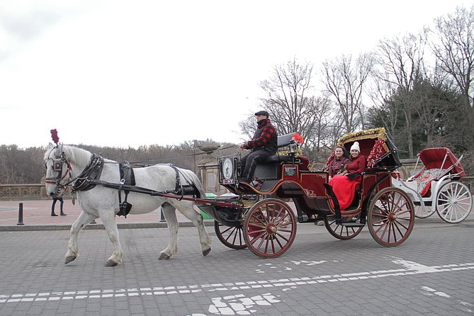 Official NYC Horse Carriage Rides in Central Park Since 1979 ™ - Planning Your Horse Carriage Ride