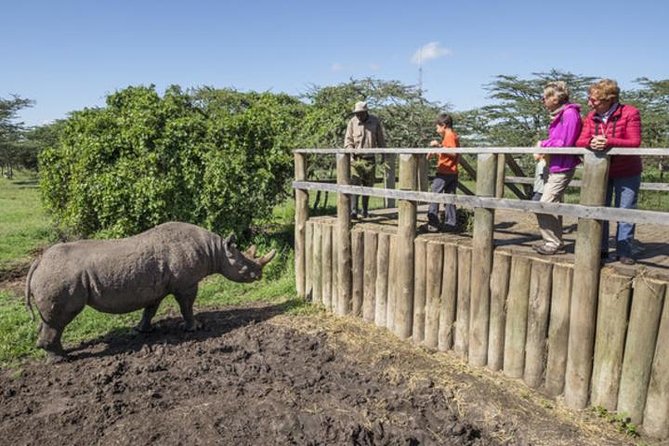 Ol Pejeta Conservancy Day Tour From Nairobi - Visitor Feedback and Ratings