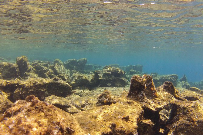 Olous – Guided Snorkelling Excursion to Discover Olous Sunken Ancient City - Customer Feedback and Experiences