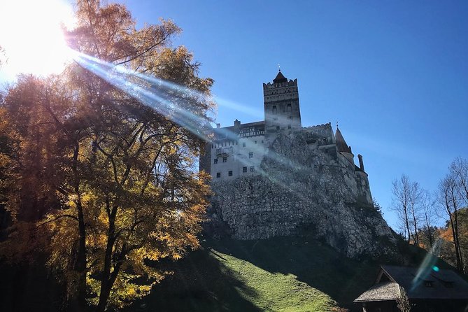 One Day Trip Bear Sanctuary, Dracula Castle, Rasnov Fortress From Brasov - Rasnov Fortress and Views