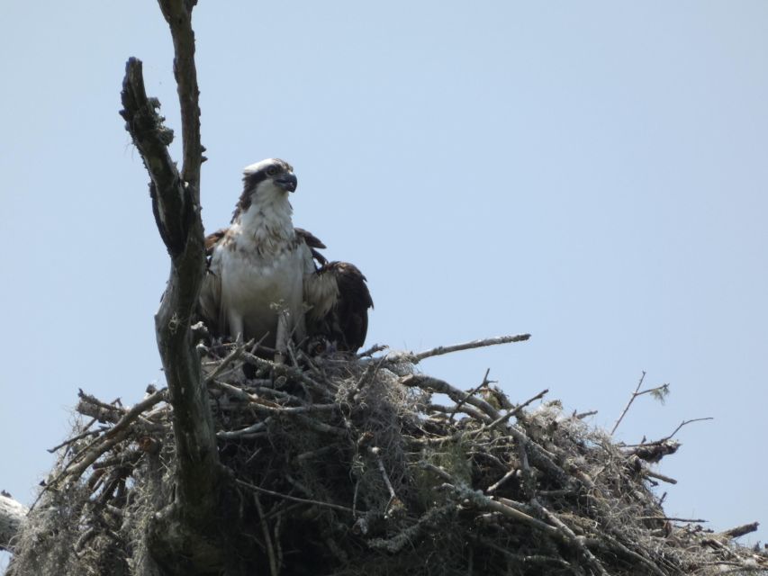 Orlando: Small Group Scenic Wekiva River Kayak Tour - Included Items