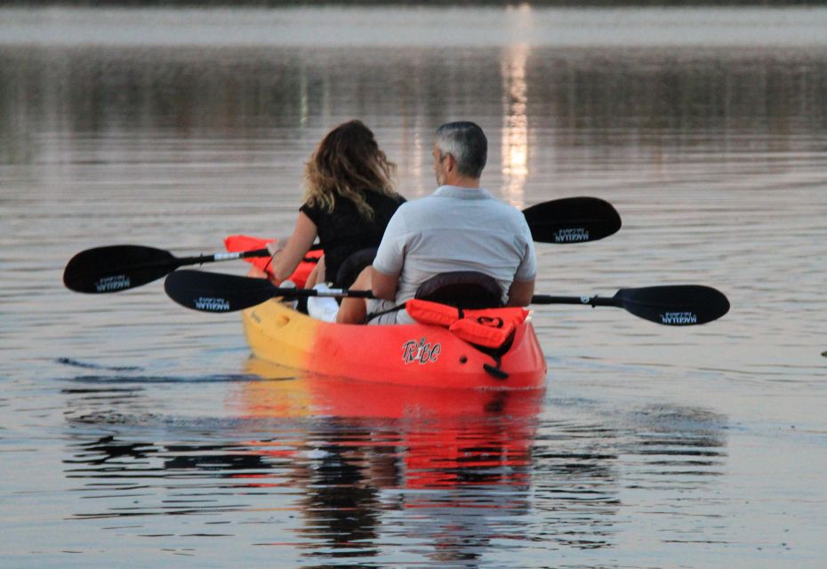 Orlando: Sunset Guided Kayaking Tour - What to Bring and Expect