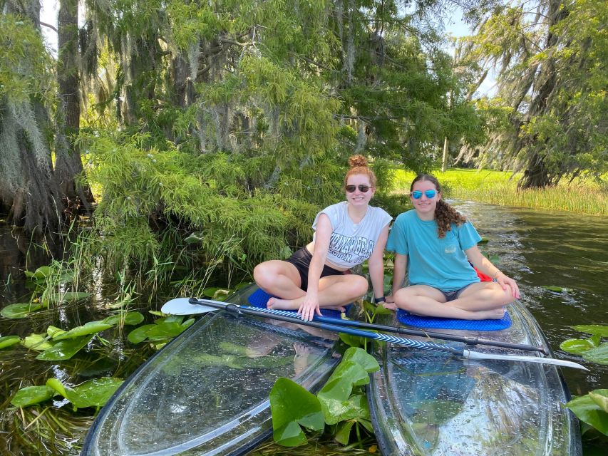 Orlando: Urban Clear Kayak or Paddleboard in Paradise - Wildlife Sightings