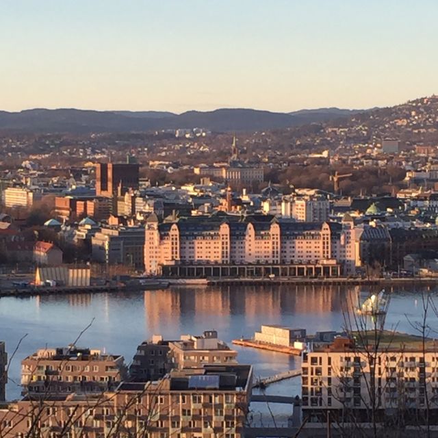 Oslo: City Walking Tour - Norwegian Parliament