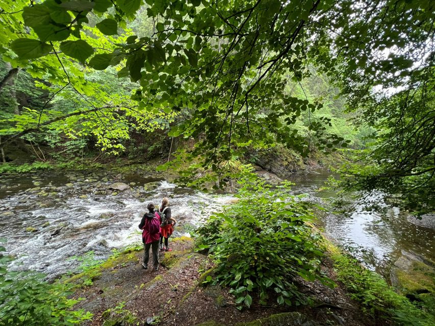 Oslo: Lysaker Wild River Walk - Fitness and Mobility Requirements