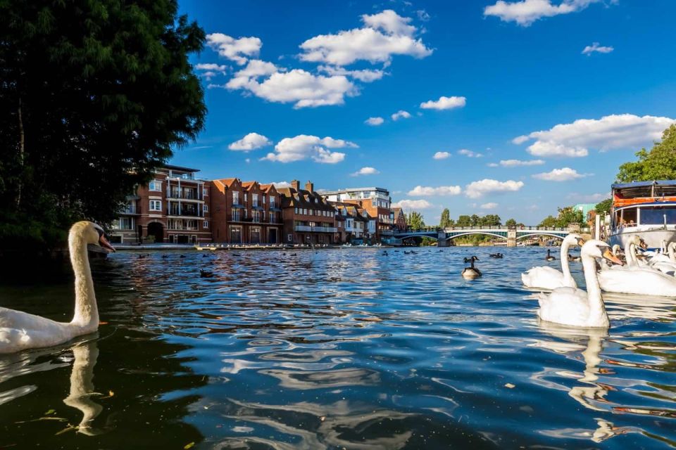 Oxford & Blenheim Palace: Exclusive Luxury Executive Tour - Breathtaking Palace Gardens