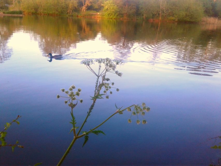 Oxford: River Cruise and Walking Tour to Iffley Village - River Cruise