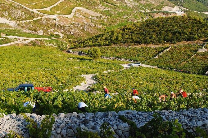 Oysters & Wine Tour From Dubrovnik (Small Group) - Convenient Pickup and Drop-off Locations