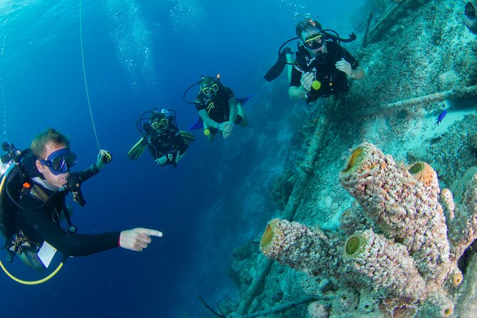 PADI Open Water Course - Customer Feedback and Ratings