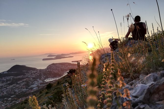 Panorama Dubrovnik & Ombla River Tour by CRUISER TAXI - Private Tour With Group