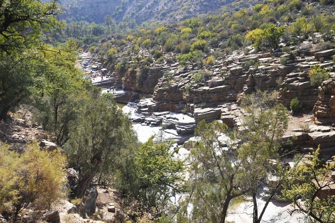 Paradise Valley Excursion - Swimming in the Wadi