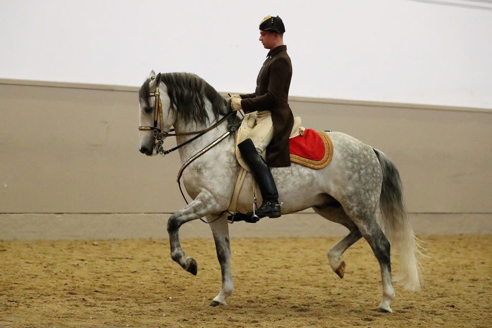 Performance Of The Lipizzans At Spanish Riding School - Frequently Asked Questions