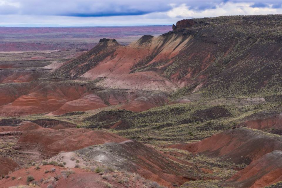 Petrified Forest National Park Self-Guided Audio Tour - Flexible Scheduling and Usage