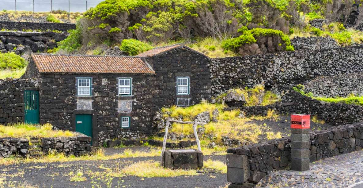 Pico Island: Full Day Wine Culture Tour - Pick-up and Drop-off