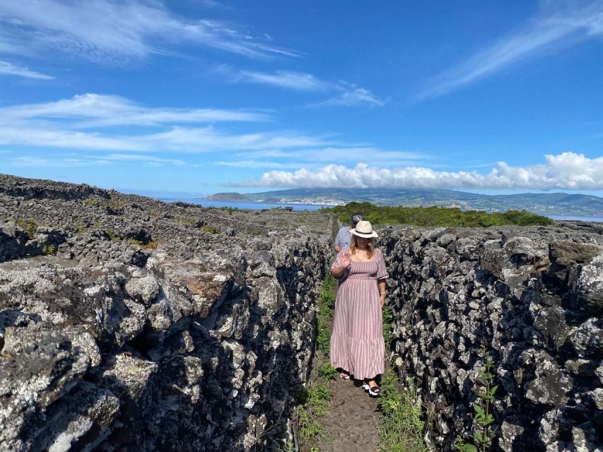 Pico Island: Wine Tasting, Independent Producers & Culture - Guided by Local Food Expert