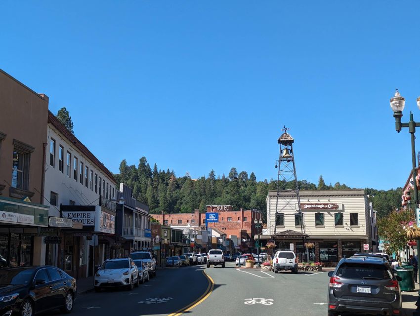 Placerville: Scavenger Hunt Walking Tour & Game - Accessibility and Required Supplies