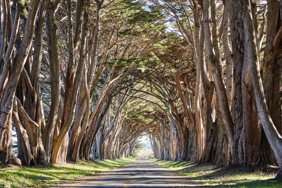 Point Reyes National Seashore Self Guided Driving Tour - Point Reyes Beach and Drakes Beach