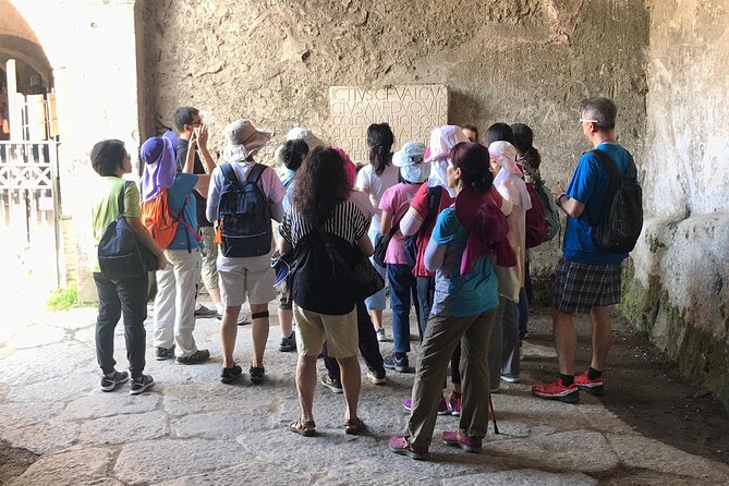 Pompeii Tour With Experienced Guide - Group Size and Cancellation