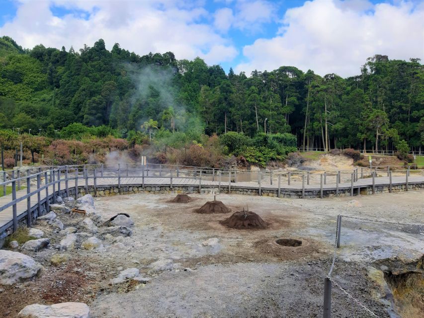 Ponta Delgada: Furnas Volcano & Nordeste Full-Day Tour - Gorreana Tea Factory