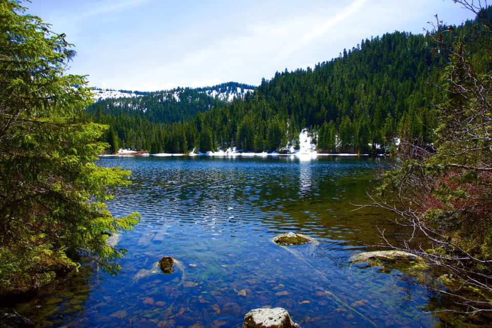 Port Angeles: Olympic National Park Driving Audio Tour - Exploring Diverse Ecosystems