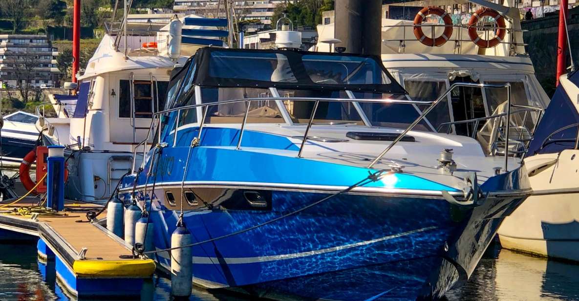 Porto: Douro River Private Small Group Boat Tour - Scenic Views Along the Douro River