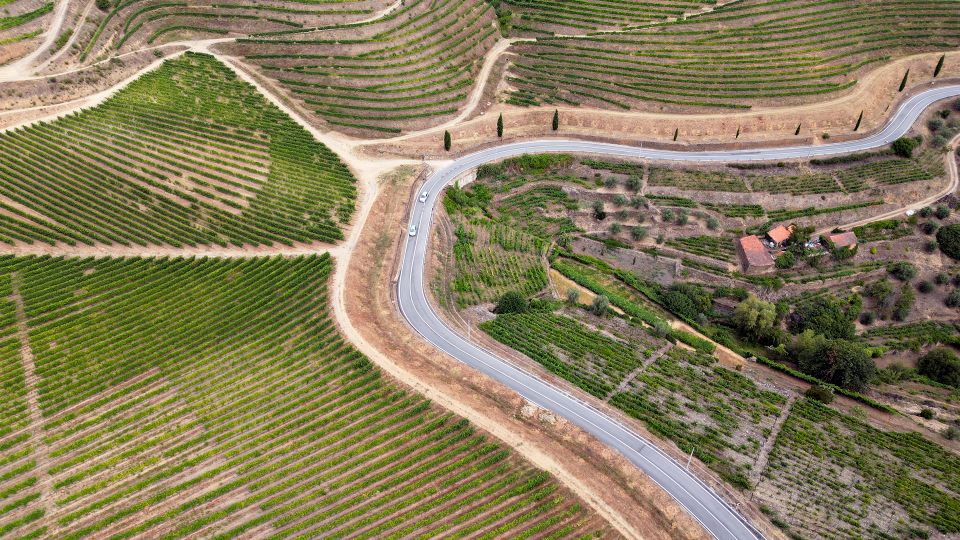 Porto: Douro Valley Authentic Wine Experience With Lunch - Transportation and Accommodations