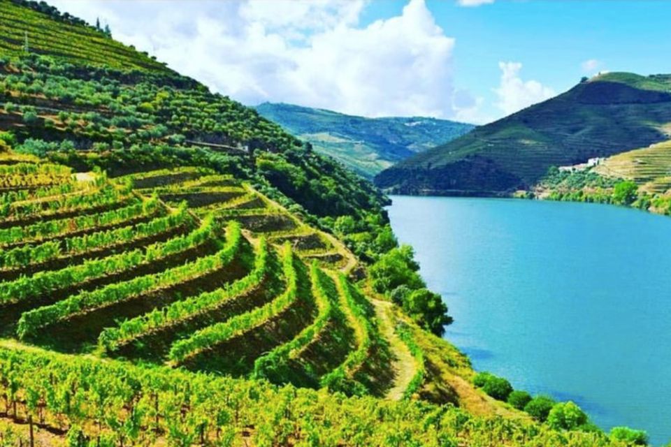 Porto: Douro Valley Guided Tour, 3 Tastings, Lunch & Cruise - Amarante Green Wine Tasting