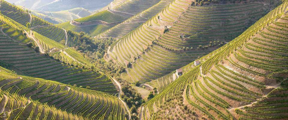 Porto: Douro Valley Trip With Lunch, Winery, and Boat Tour - Break Time in Peso Da Régua