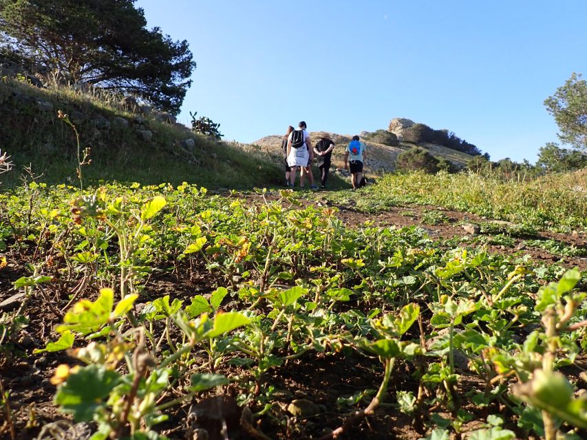 Porto Santo - Ana Ferreira Hiking Tour - Family-Friendly Activity