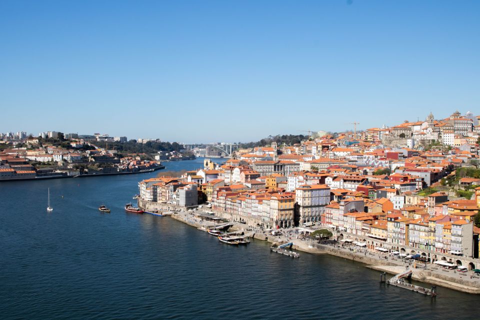 Porto: Self-Guided Treasure Hunt Tour - Tour Highlights