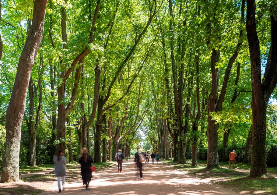 Porto: Serralves Park Entry Ticket - Frequently Asked Questions