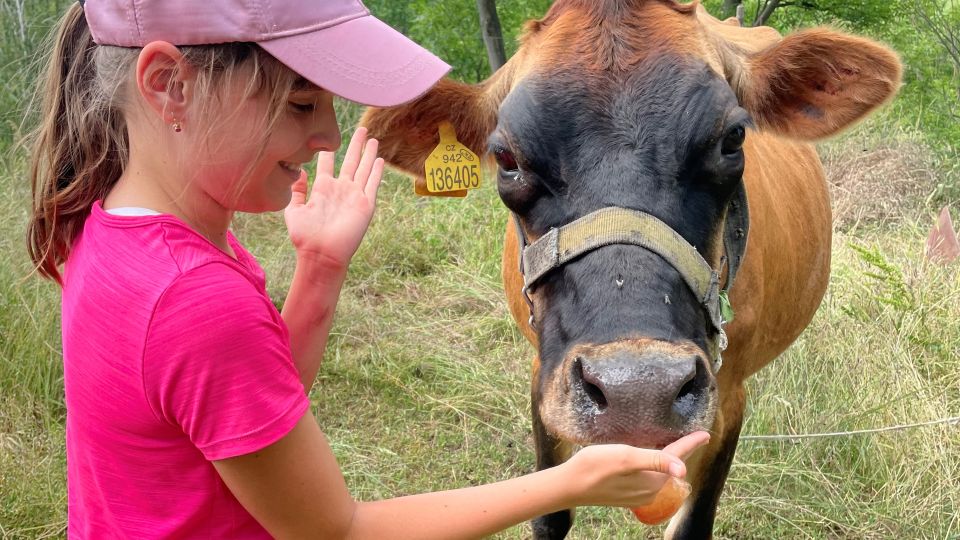 Prague: Bohemian Uplands Garnet Panning&Animal Farm 4WD Tour - Garnet Panning Activity