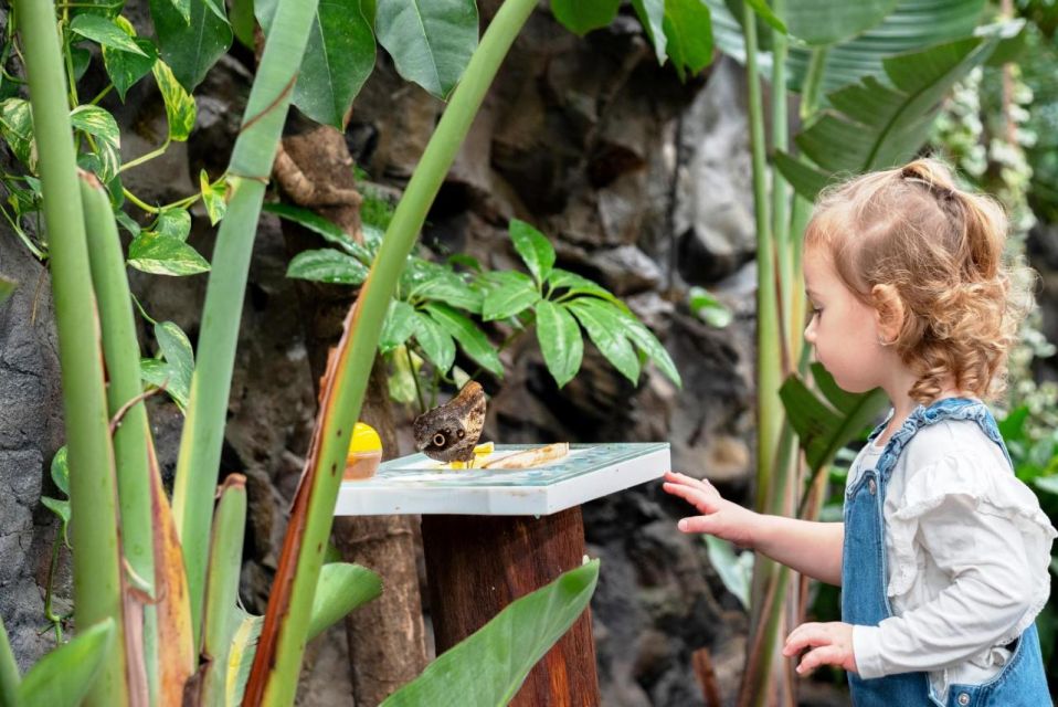 Prague: Papilonia Butterfly House - Customer Ratings