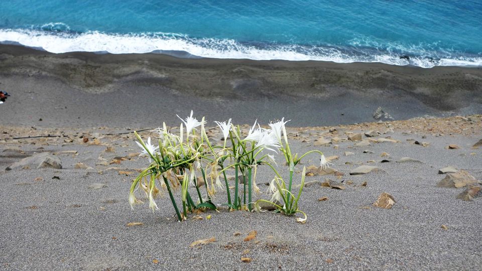 PREMIUM JEEP SAFARI IN SOUTH CRETE - Optional Monastery Visit